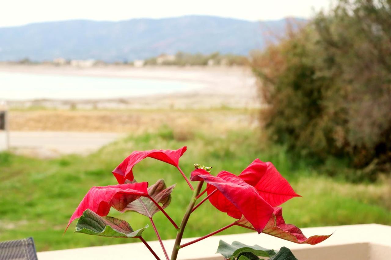Sea Breeze Διαμέρισμα Χαράκι Εξωτερικό φωτογραφία